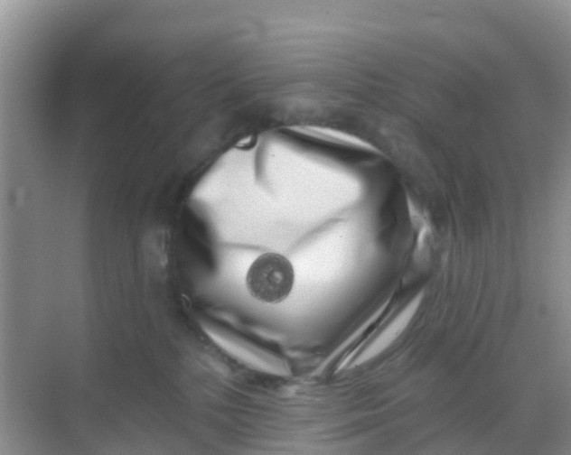 X0000069360232200605262007