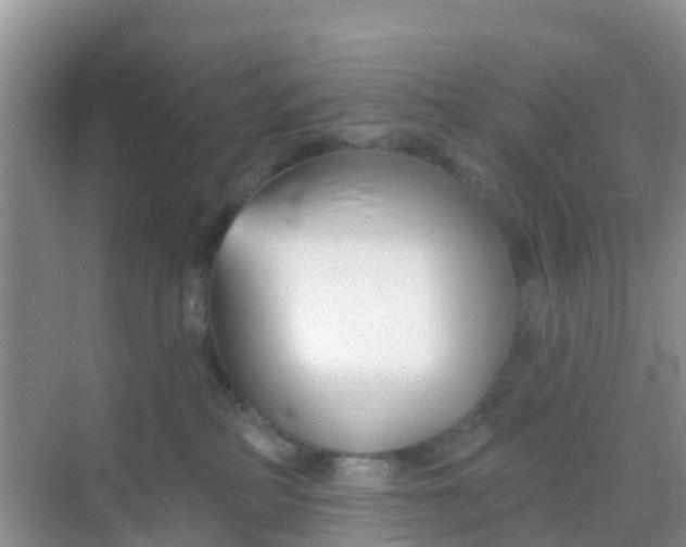 X0000069360234200605262007