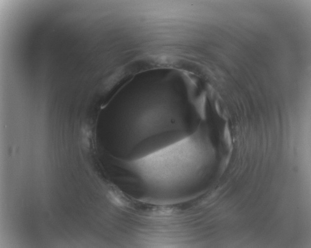 X0000069360235200605262007