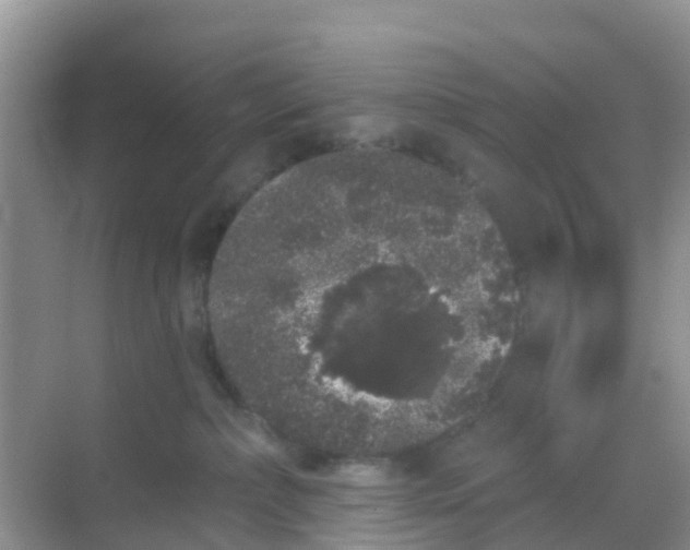 X0000069360236200605262007