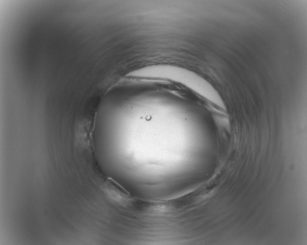 X0000069360237200605262007