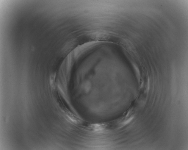 X0000069360239200605262007