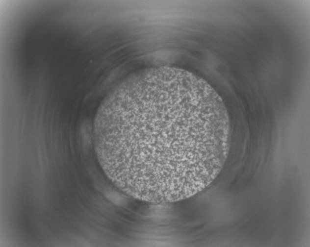 X0000069360240200605262007