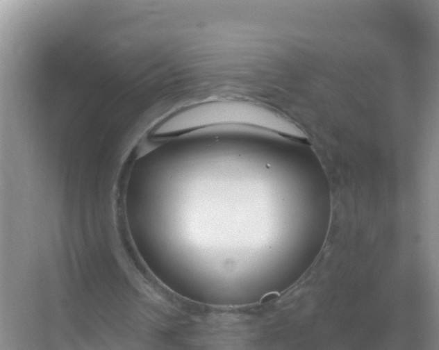 X0000069360242200605262006