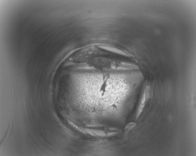 X0000069360243200605262006