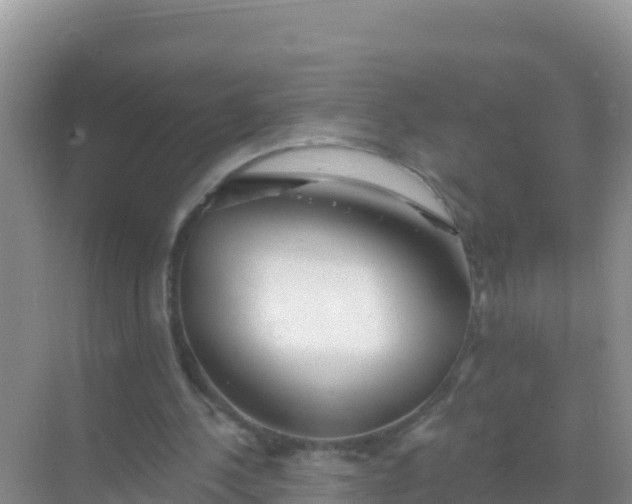 X0000069360244200605262006