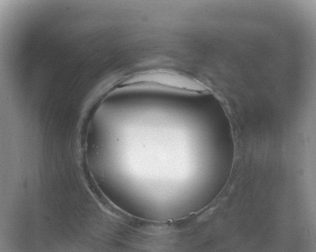 X0000069360245200605262006