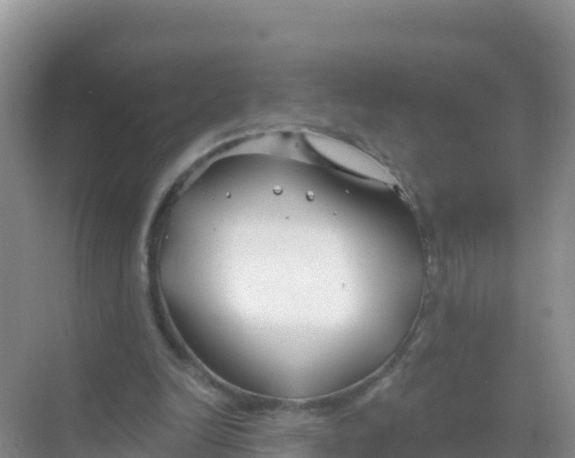 X0000069360246200605262006