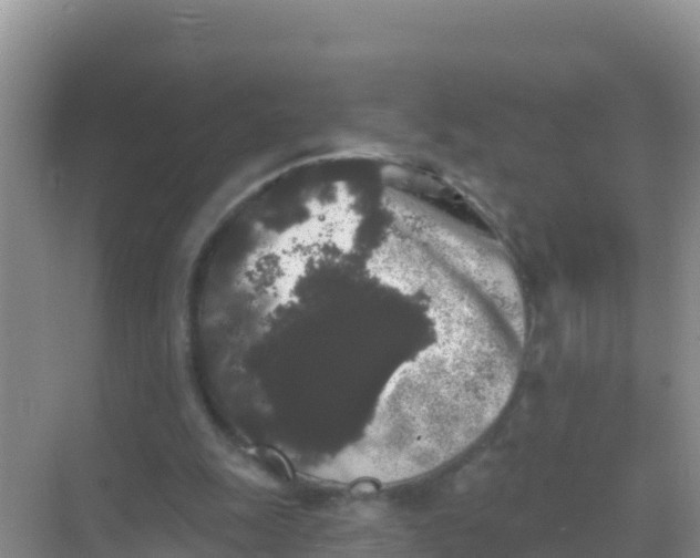 X0000069360247200605262006