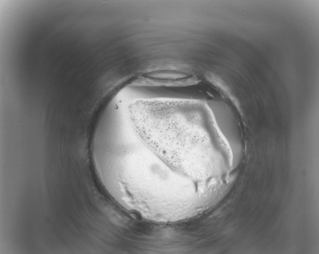 X0000069360249200605262006