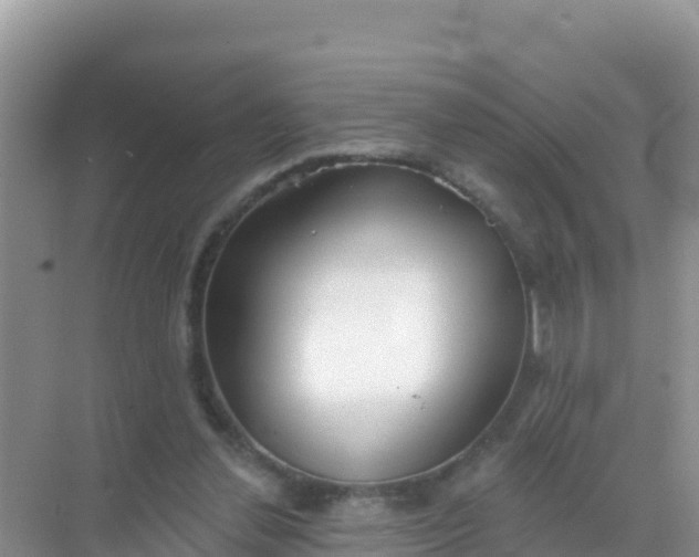 X0000069360252200605262006