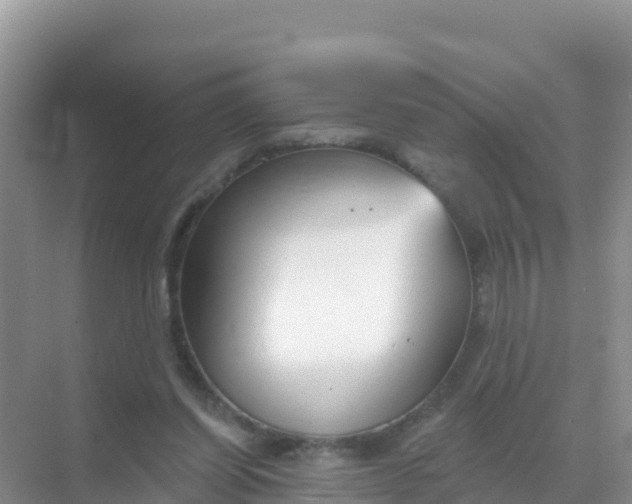 X0000069360254200605262006