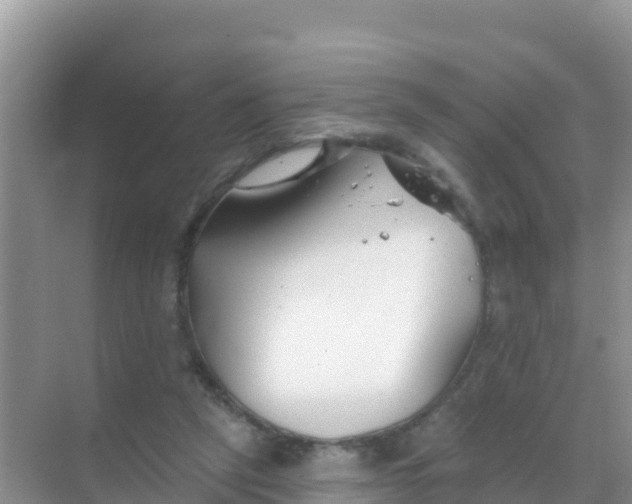 X0000069360257200605262006