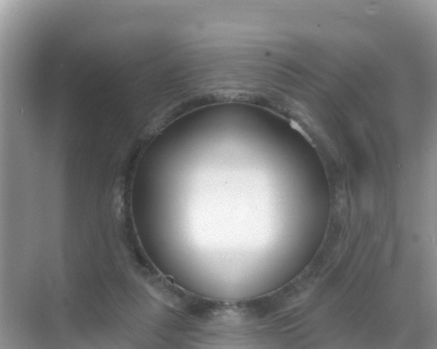 X0000069360259200605262006