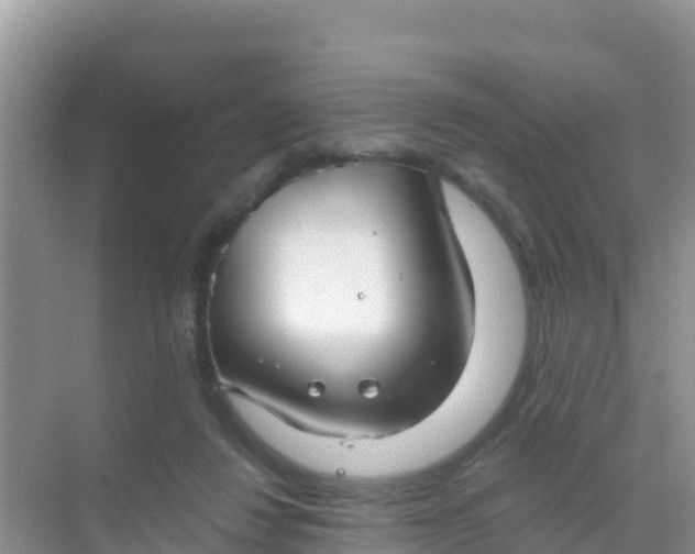 X0000069360260200605262006