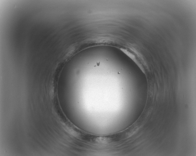 X0000069360261200605262006