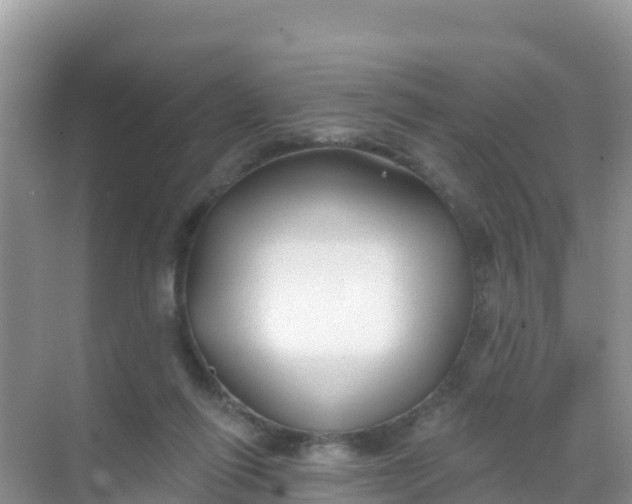 X0000069360262200605262006