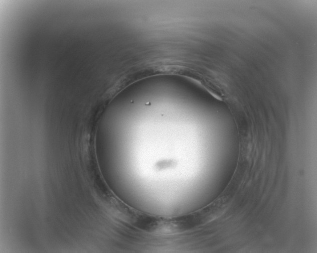 X0000069360263200605262006