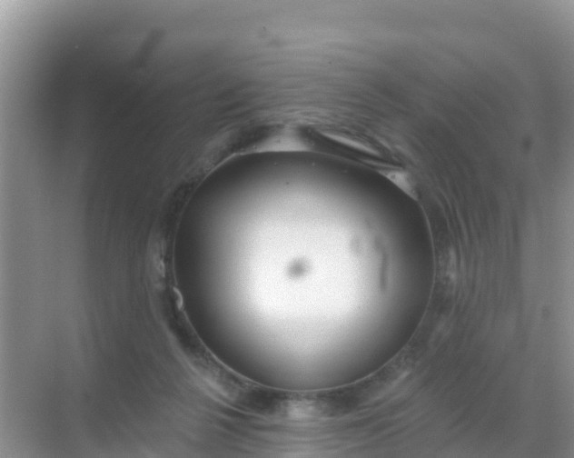 X0000069360264200605262006