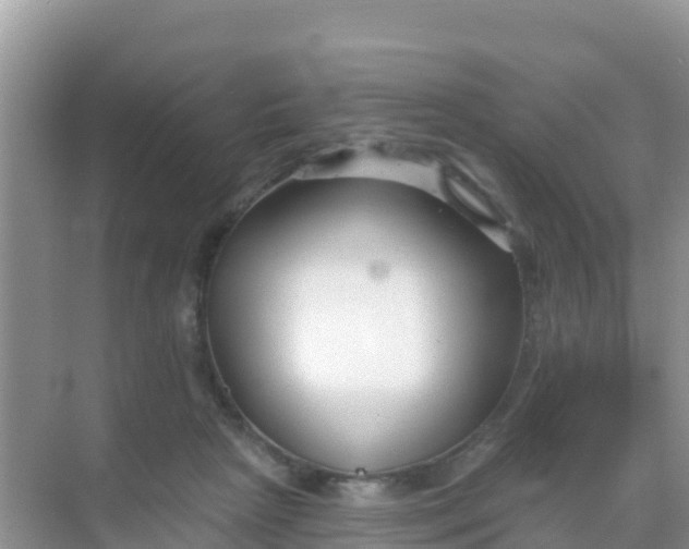 X0000069360265200605262006