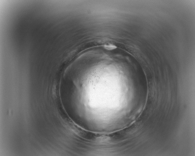 X0000069360266200605262006