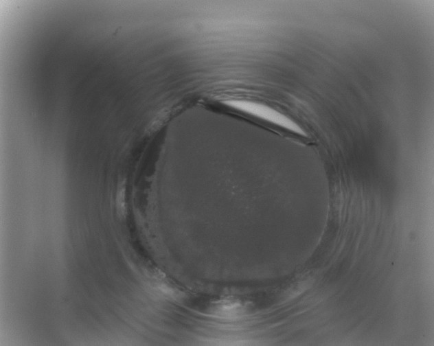 X0000069360267200605262006