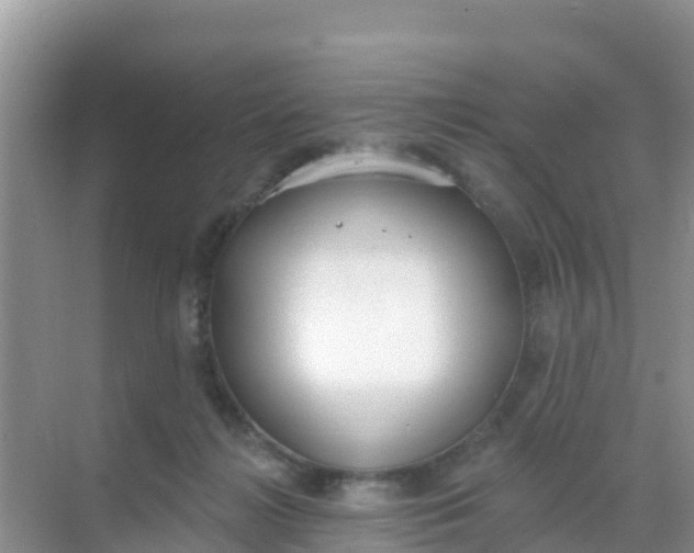 X0000069360268200605262006