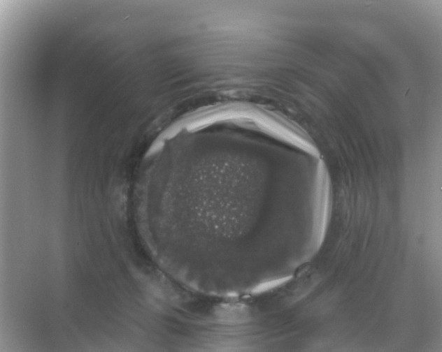 X0000069360271200605262006