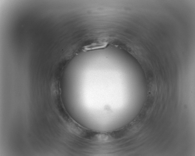 X0000069360272200605262006