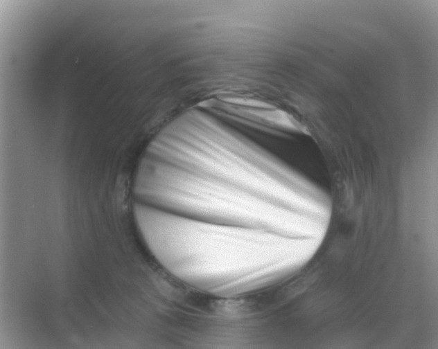 X0000069360273200605262006