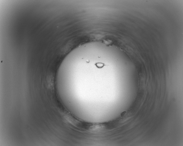 X0000069360274200605262006