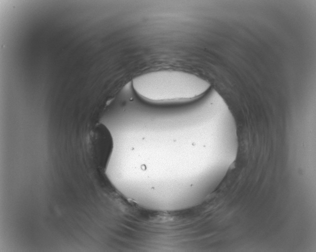 X0000069360276200605262006