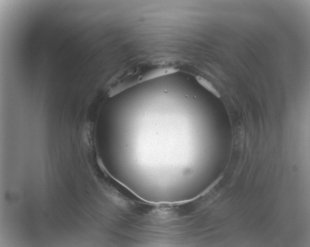 X0000069360280200605262006