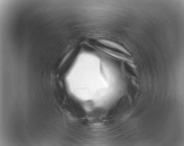 X0000069360281200605262006