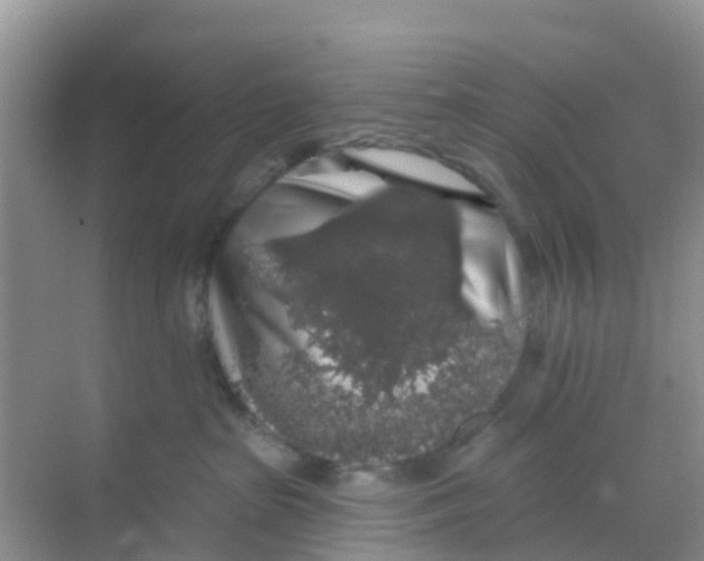 X0000069360285200605262006