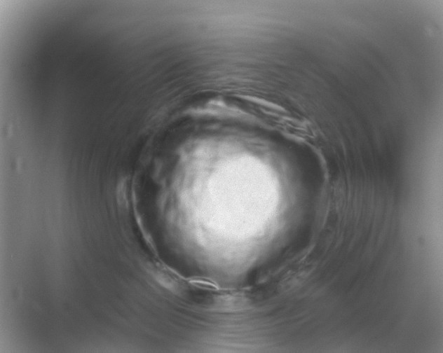 X0000069360286200605262007