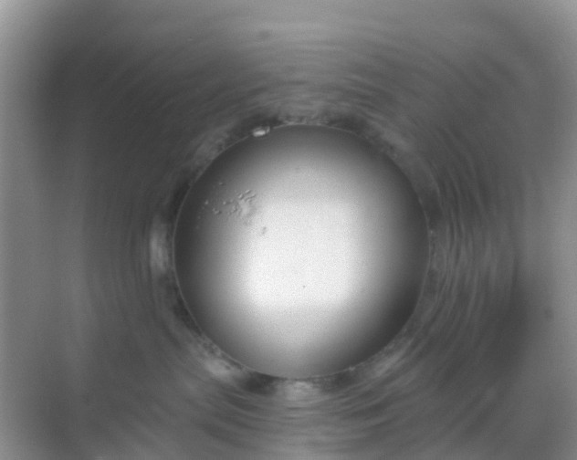 X0000069360287200605262007