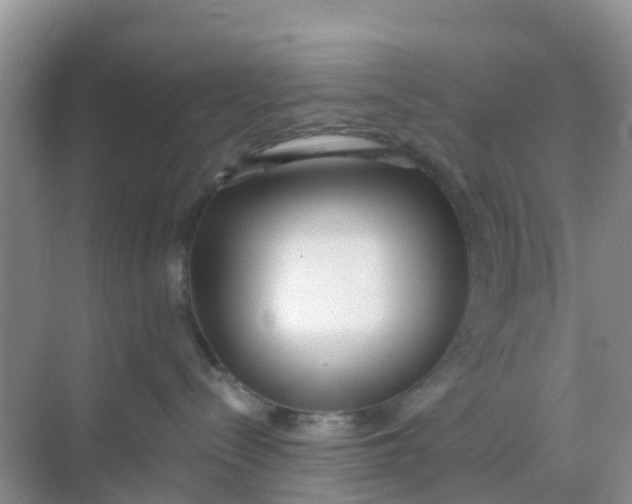 X0000069360288200605262007