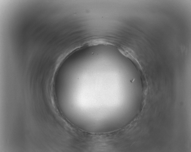 X0000069360289200605262006