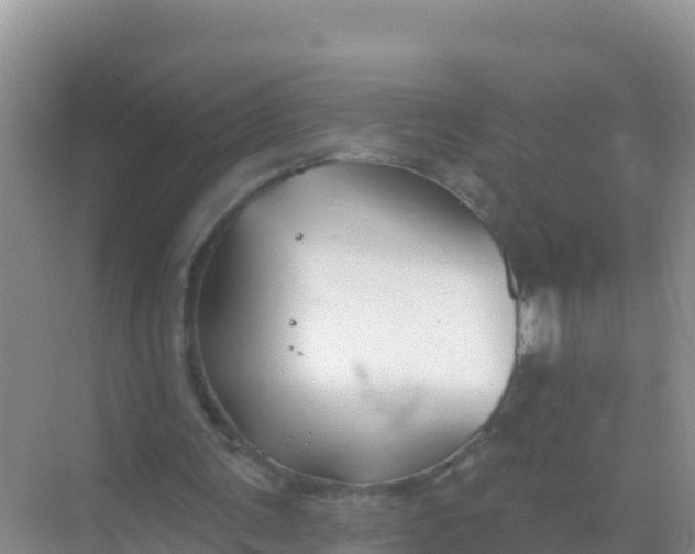 X0000069360291200605262006