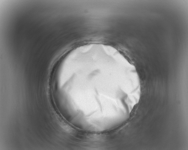 X0000069360293200605262006