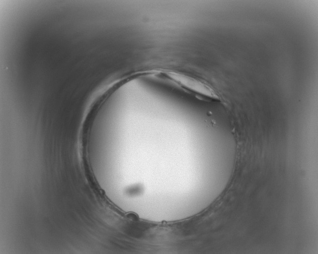 X0000069360294200605262006