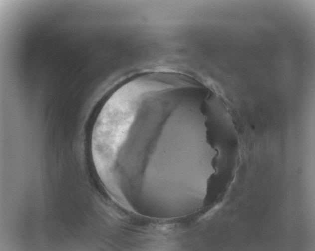 X0000069360295200605262006