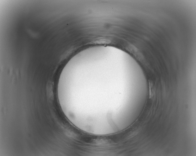 X0000069360300200605262006