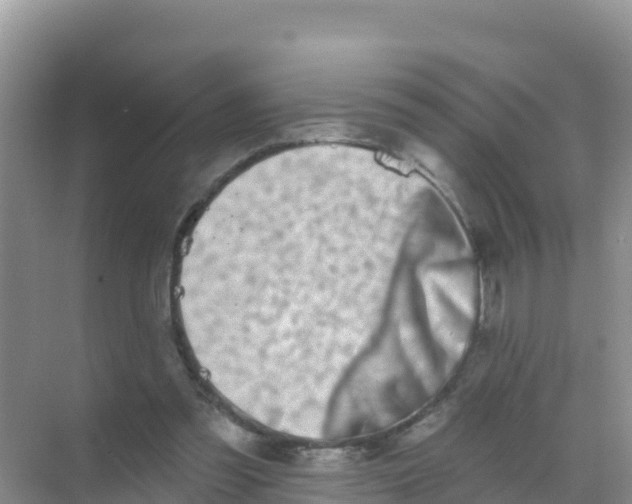 X0000069360301200605262006