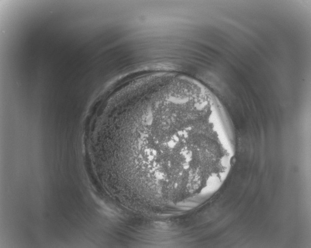 X0000069360302200605262006