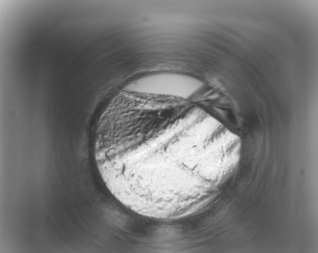 X0000069360303200605262005