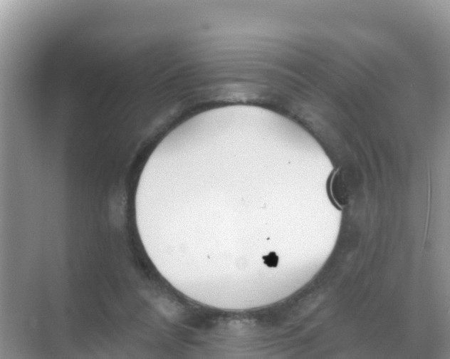 X0000069360304200605262005