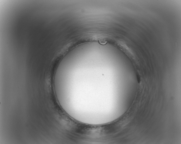 X0000069360306200605262005