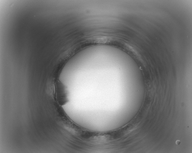 X0000069360307200605262005